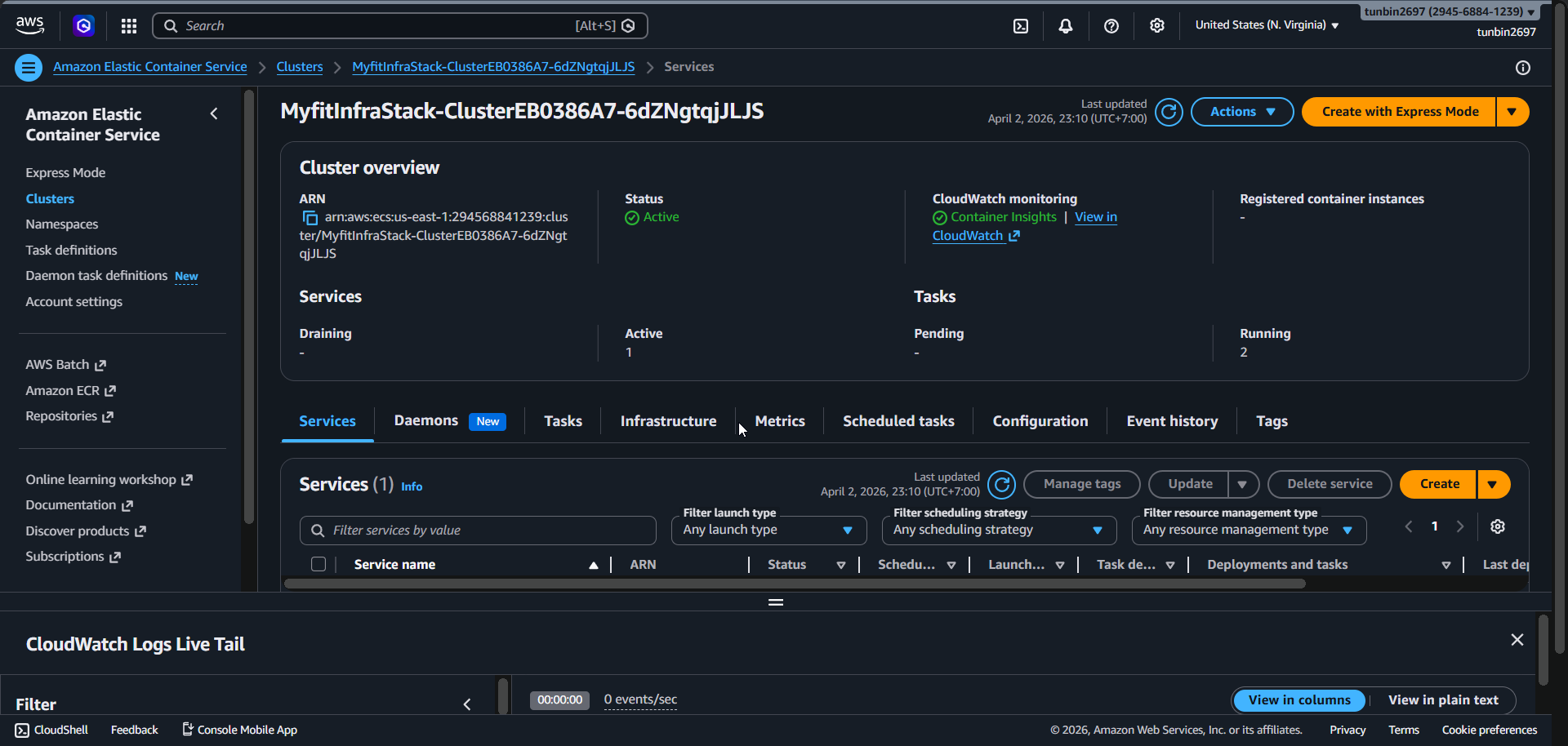 ECS cluster result